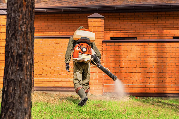 Top rated local Mosquito Control specialists in Henderson, NC